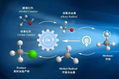 2025年07月31日信息科技早新闻 网络科技技术开发前沿动态